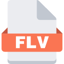 Video to FLV